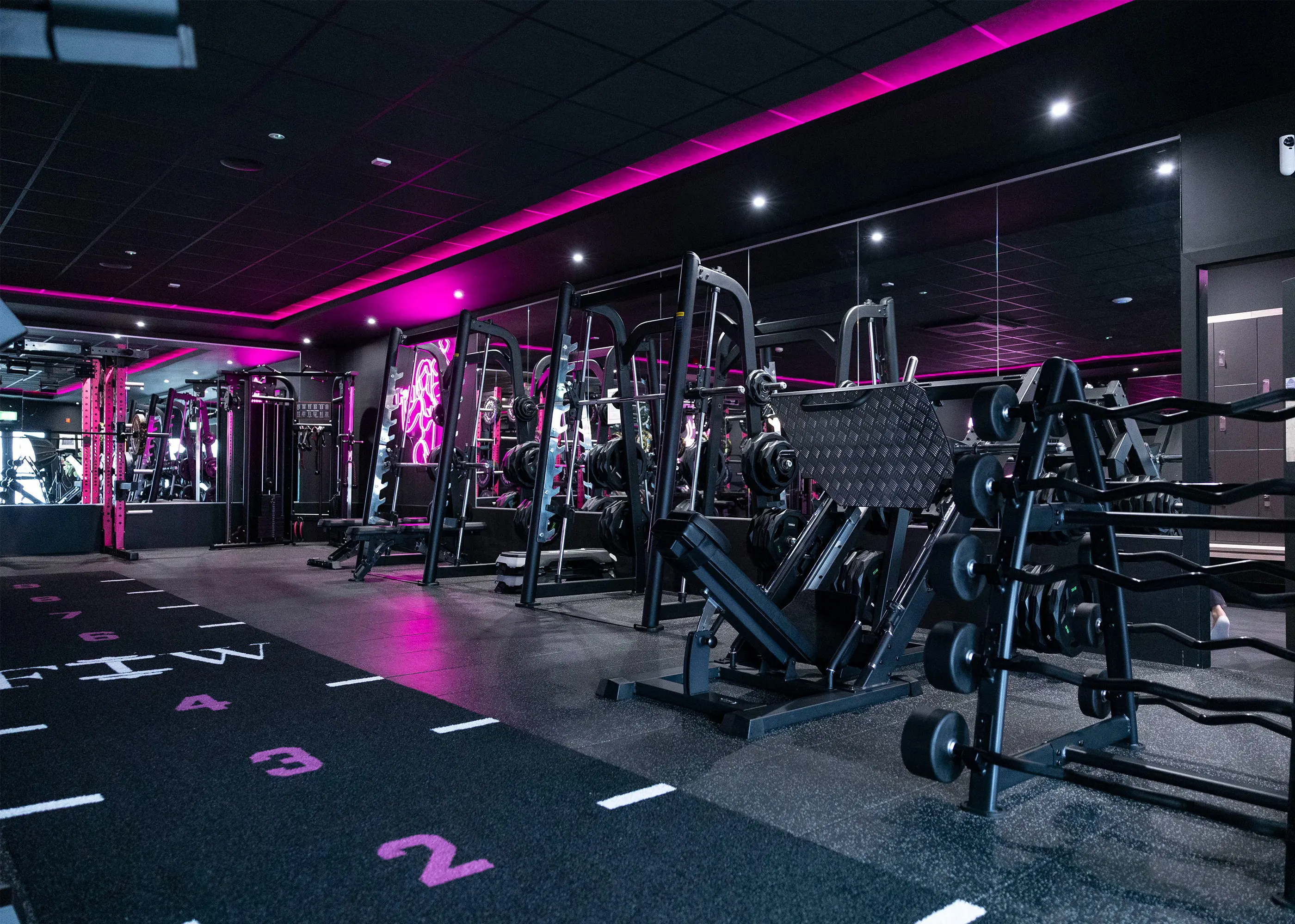 Elevate Your Peak Performance